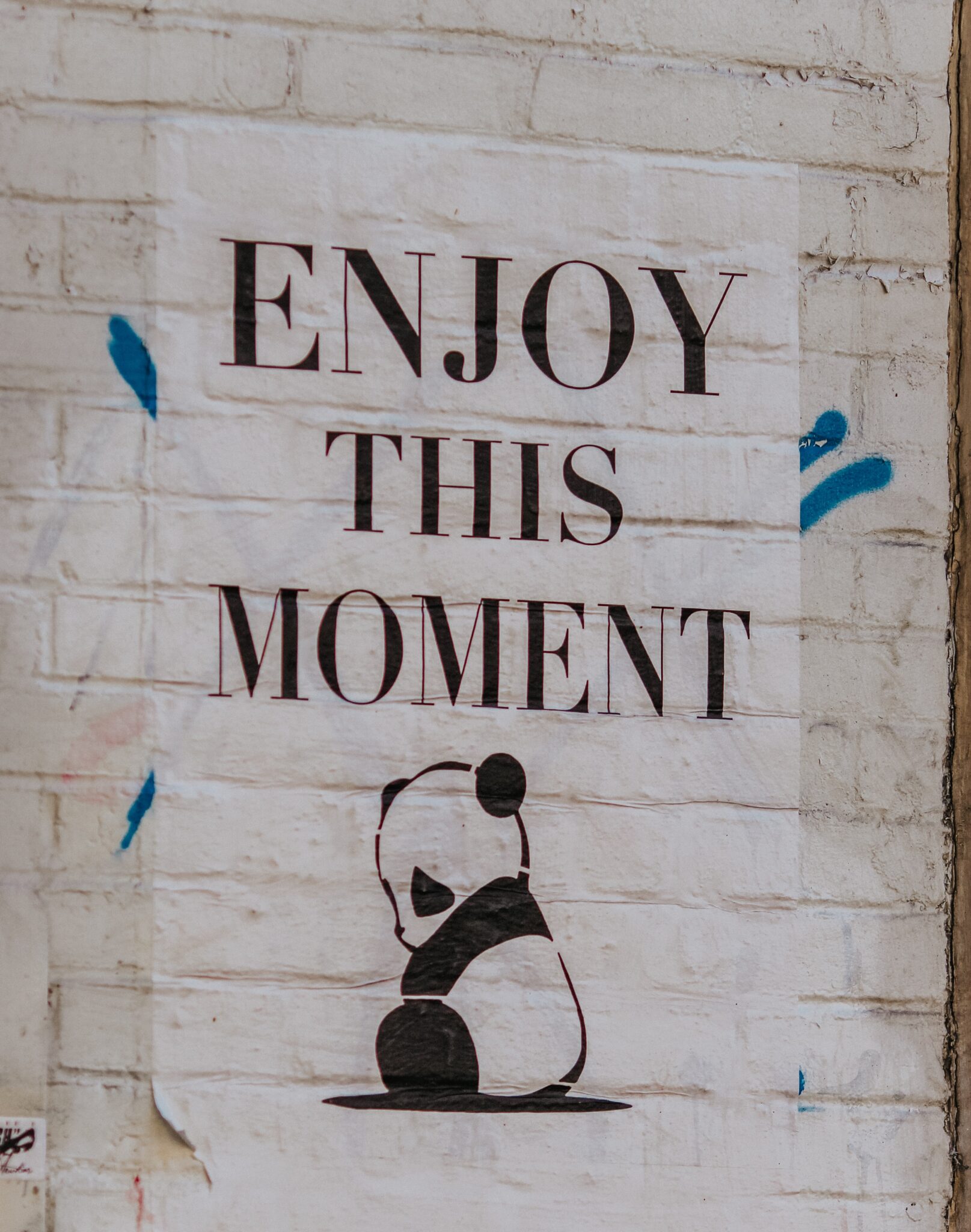 Poster of a Panda that says Enjoy This Moment. You can learn to exist in the now with trauma related anxiety treatment in North Carolina. Learn more here.