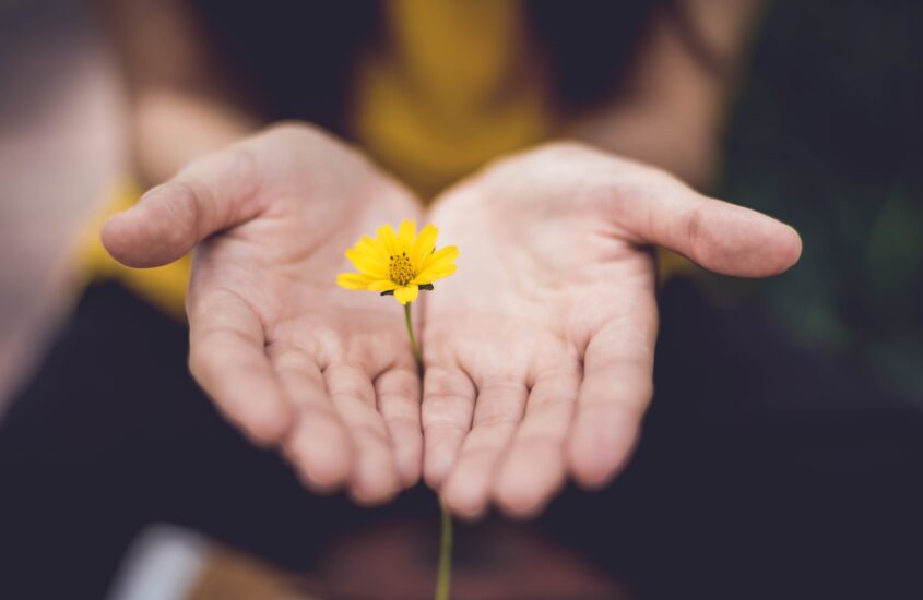 Woman with hands out holding a small yellow flower. Postpartum support. Pregnancy therapy.