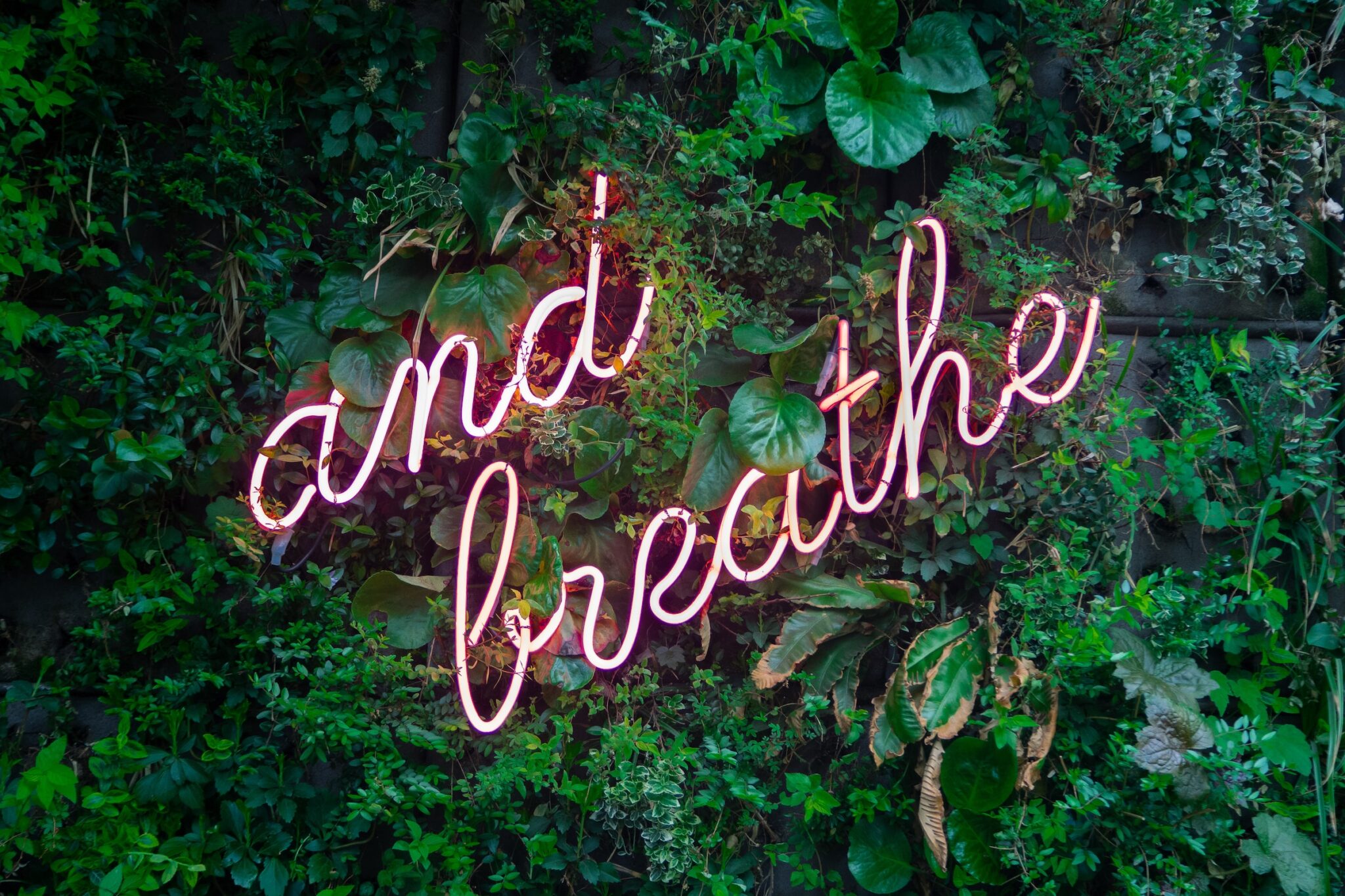 Pink neon sign that says and breath in front of greenery. Encouragement for mothers. Prevent postpartum depression. Postpartum OCD. Anxiety.