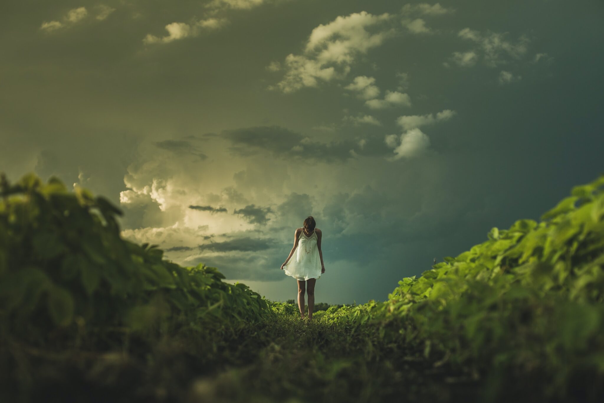 A woman standing on a hill right before a storm begins looking anxious. Treatment for ADHD & anxiety in women. Teletherapy in North Carolina for ADHD.