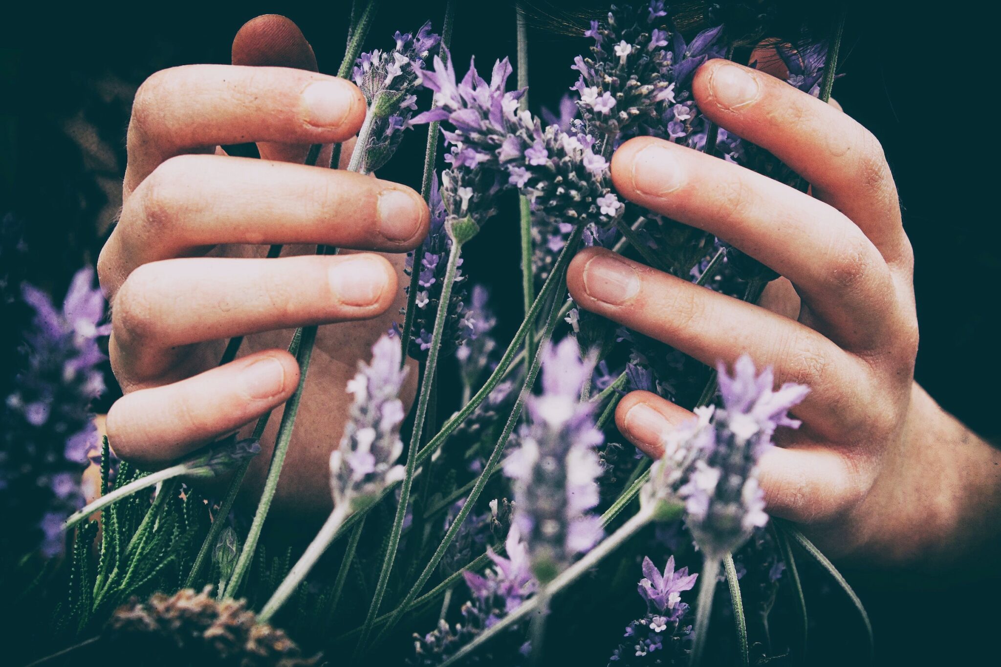 Woman holding a bundle of lavender. Therapy to improve your self worth NC. Causes of codependency.