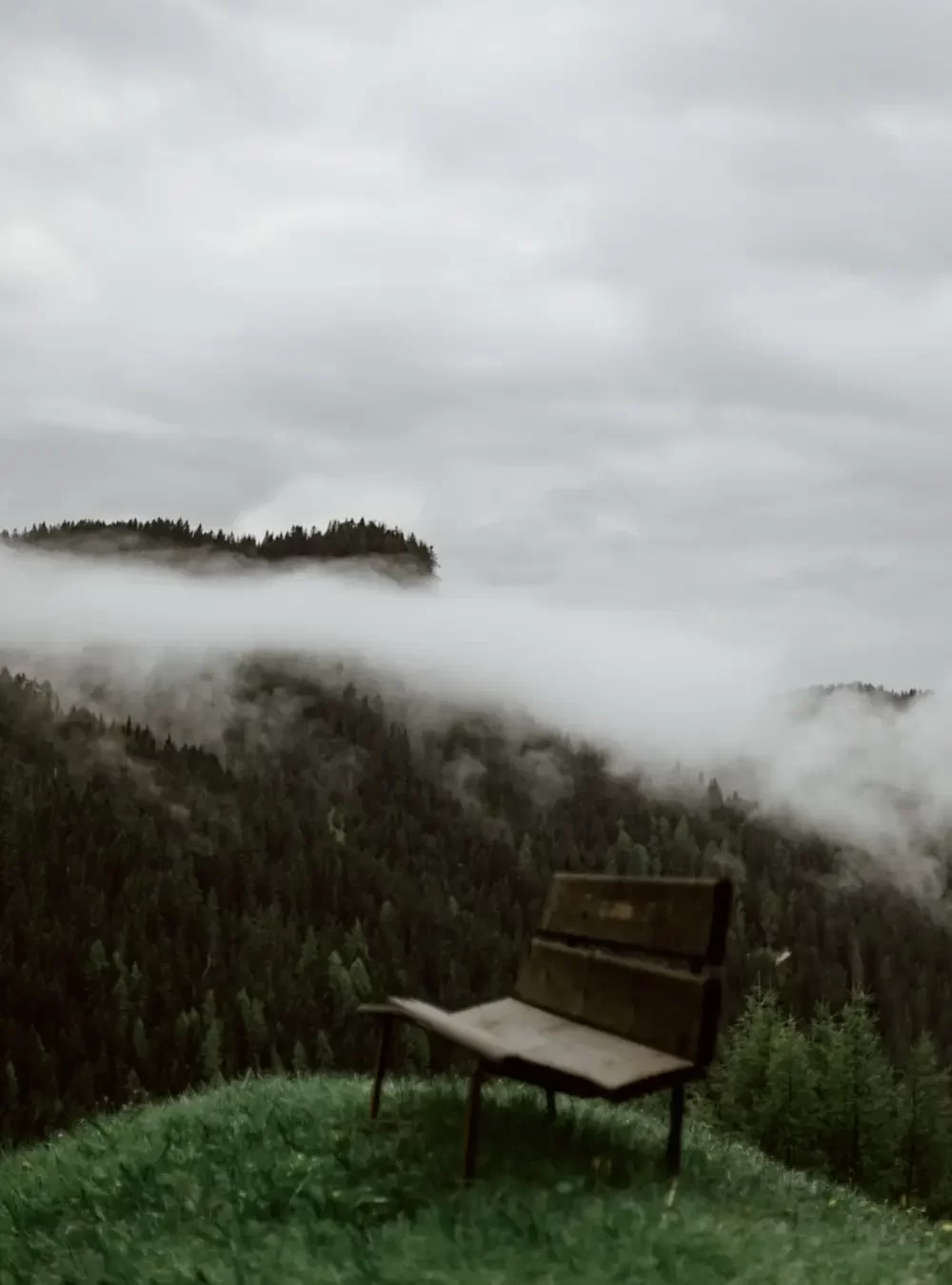 A foggy valley seen from a hilltop bench.