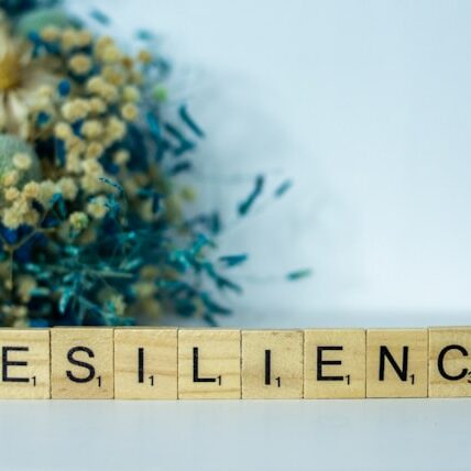 resilience, political stress