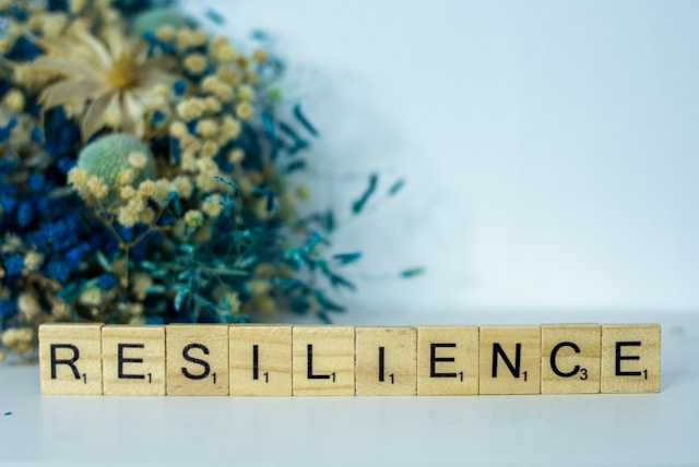 resilience, political stress